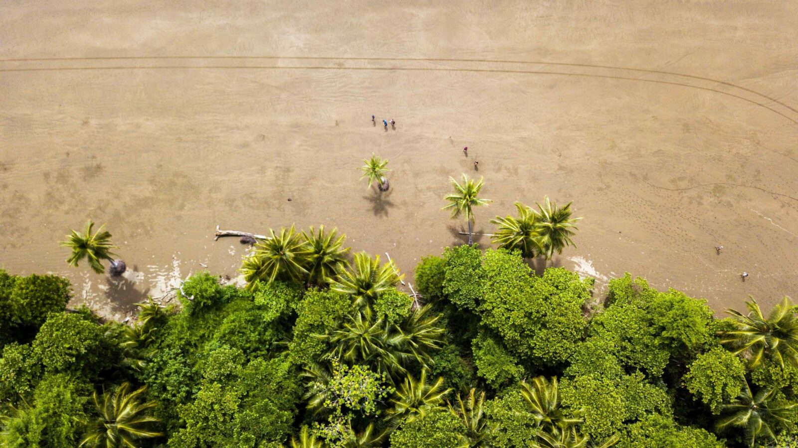 The 7 Most Beautiful Beaches in Costa Rica | Mixtravel